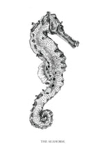 Load image into Gallery viewer, The Seahorse
